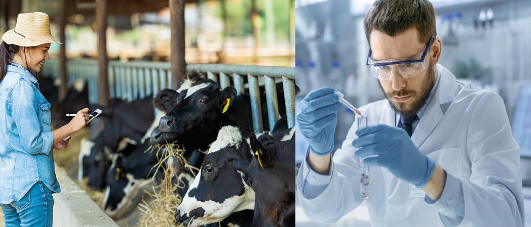 Ausbildung - Chemikant/in 2026