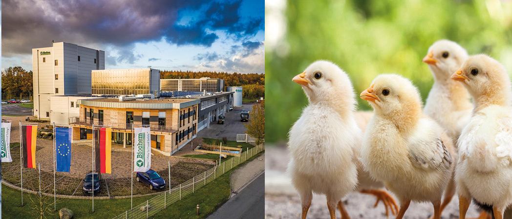 Biochem Zusatzstoffe Handels- u. Produktionsgesellschaft mbH