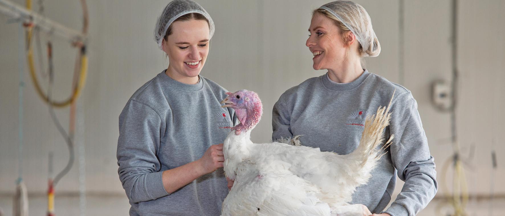MOORGUT KARTZFEHN Turkey Breeder GmbH