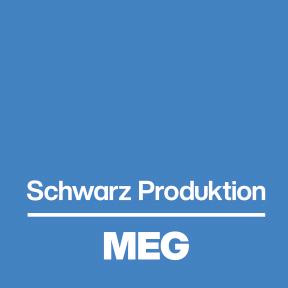 Arbeitgeberlogo von MEG Löningen GmbH